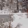 Tahoe Back Country