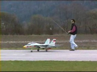 Tomcat Toy